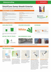 Asian Paints SmartCare Damp Sheath Exterior