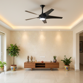 Superfan SuperQ Lux Ceiling Fan In The Hall