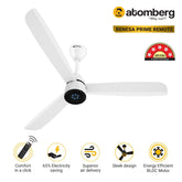 Atomberg Renesa Prime Remote 1200mm BLDC Motor 5 Star Rated Sleek Ceiling Fan with Remote
