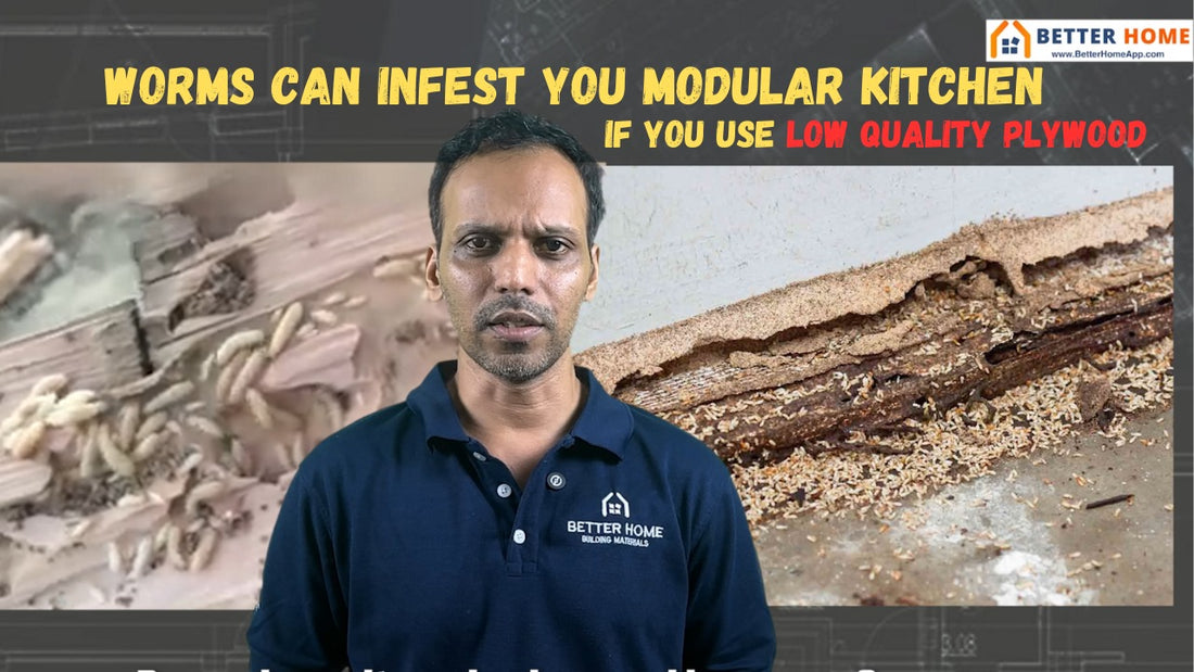 Termite worms can damage your modular kitchen made of low quality plywoods