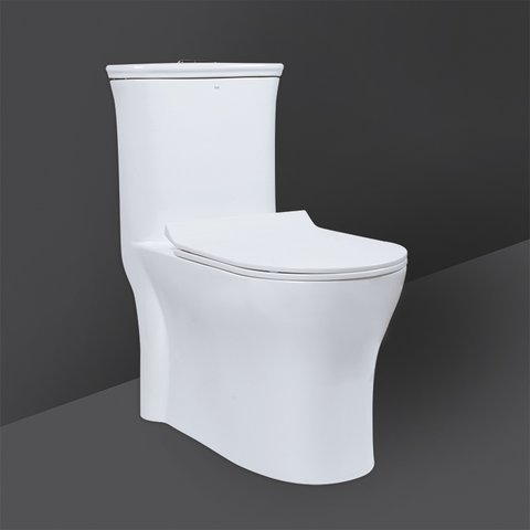 RAK Ceramics Victoria One Piece Water Closet