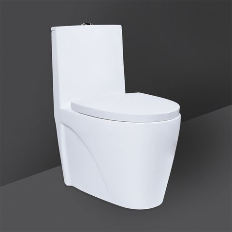 RAK Ceramics Monet One Piece Water Closet