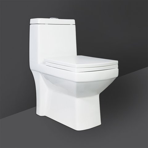 RAK Ceramics Astor One Piece Water Closet