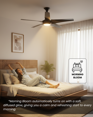 Superfan SuperQ Lux BLDC Fan with 3-in-1 Light - 5 Blades - 120 cm (48 inches) - 5 Years Warranty