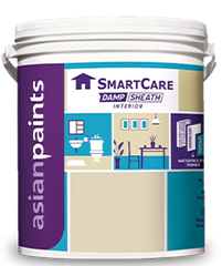 Asian Paints SmartCare Damp Sheath Interior