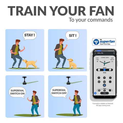 How_to_Train_the_Super_myQ_Fan