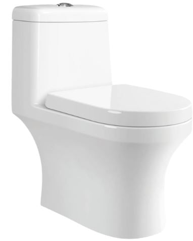 Parryware Joy C8917 Single Piece WC S Trap