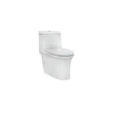 Parryware Reeve Single Piece Commode 220MM C8900