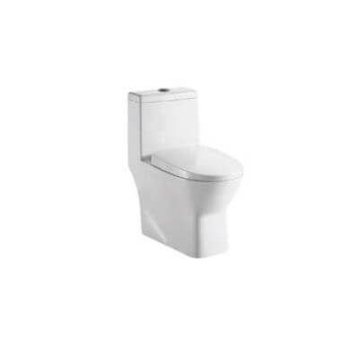 Parryware Eden Single Piece S-300MM Commode C8852