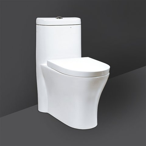 RAK Ceramics HUGO One Piece Water Closet