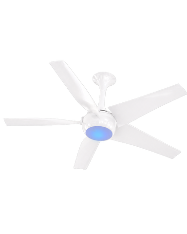 Superfan SuperQ Lux BLDC Fan with 3-in-1 Light - 5 Blades - 120 cm (48 inches) - 5 Years Warranty